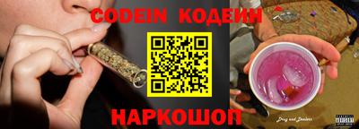 индика Ярославль