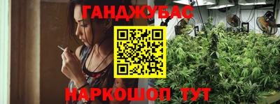 индика Ярославль