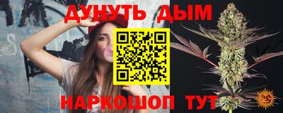 индика Ярославль