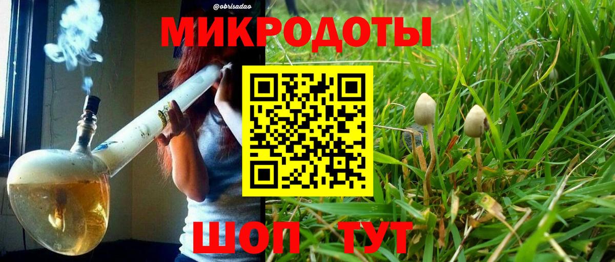Псилоцибиновые грибы GOLDEN TEACHER Воркута