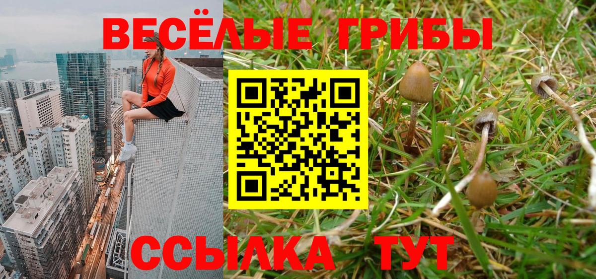 Галлюциногенные грибы мухоморы  Вход с VPN  Воркута 